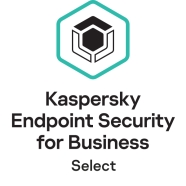 KASPERSKY KL4863IA*FS Antivirüs Yazılımı