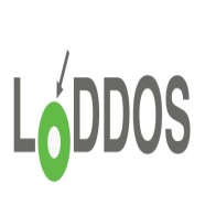 LODDOS BY-LODDOS-V2 Sadece Yazılım Güvenlik  Programı